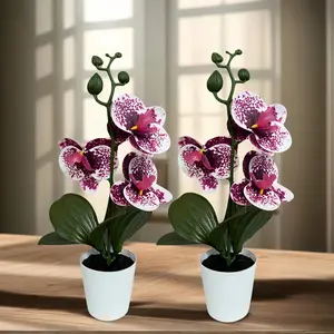 2/4pcs Elegant and Beautiful Phalaenopsis Orchid Potted Plant, Realistic Unique Purple Spotted Flowers with Pot