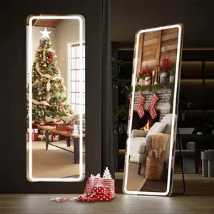 PINGO 3 Color LED Stand Mirror, Sturdy and Durable Floor Mirror with Dimmable Adjustable Brightness, No Assembly Required, For Home Bedroom, For Girl Lady Women, 62*16inch