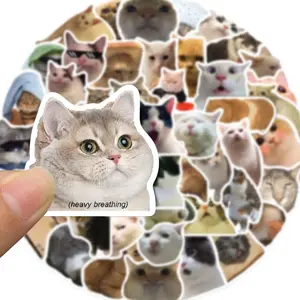 A SPECIAL GIFT FOR YOU: MYSTERY CAT STICKER COLLECTION