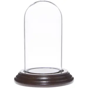 Plymor 2" x 4" Mini Glass Display Dome Cloche