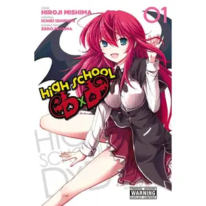 High School DXD, Vol. 1 -- Hiroji Mishima - Paperback