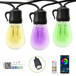 1PC,Ip65 Waterproof Rgbw LED Light String, Smart APP Control, Adjustable Color, Outdoor Decor, 48ft, 20 Bulbs, Garden Party Christmas Decoration
