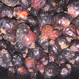 Organic Rosehip Fruit | Dried Organic Rosehip Fruit Natural | Natural Tea | Skin Health |