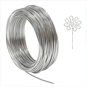 12 Gauge Aluminum Wire, 100 Feet 2mm Bendable Metal Craft Wire for Sculpting, Armature, Jewelry Making, Floral Making, Doll Making, Modelling, Crafting, Bonsai Training