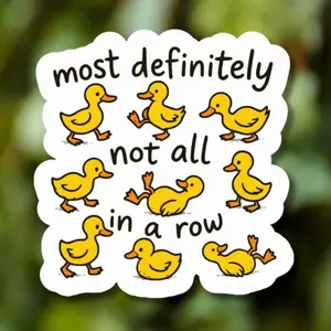 Funny Ducks Not In A Row Sticker - Sarcastic Laptop or Water Bottle Decal