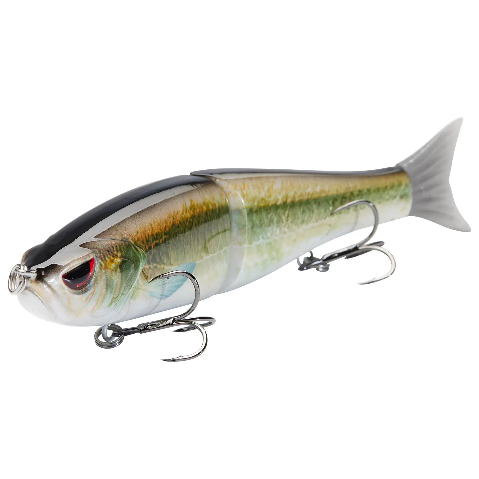 Emerald Shiner