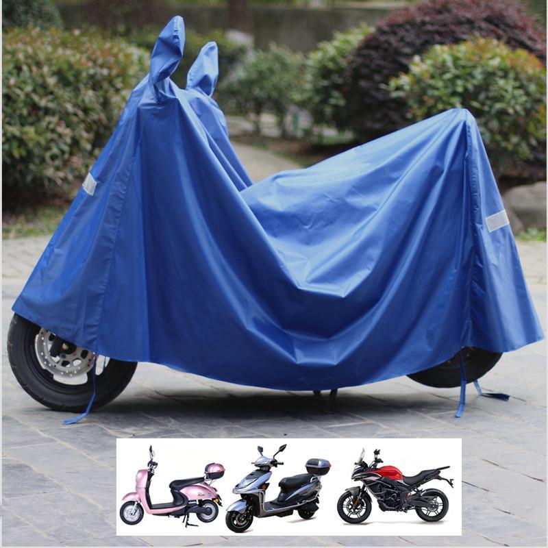 Large blue model with ears, suitable for rearview 