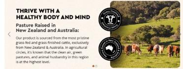 Ancestral Supplements Grass Fed Beef Organ Supplement, Supports Whole Body Wellness with Proprietary Blend of Liver, Heart, Kidney, Pancreas, Spleen, Freeze-Dried Beef, Non-GMO, 180 Capsules