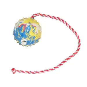 GAPPAY - Training Ball On Rope (Hollow)