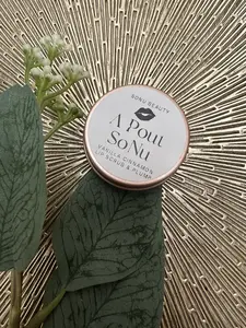 Vanilla Cinnamon Lip scrub and Plump