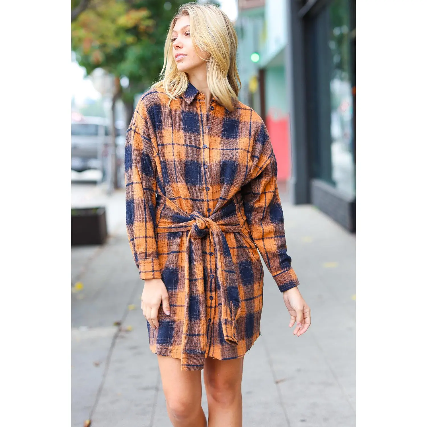 Navy & Rust Plaid Flannel Button Down Waist Tie Dress