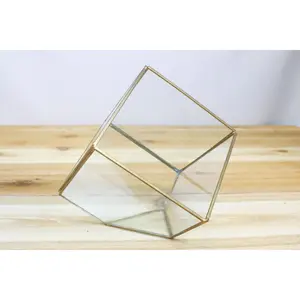 Heptahedron Tillandsia Air Plant Terrarium - Geometric Design with 7 Sides