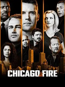 Chicago Fire: Season Seven  [DVD Video Disc] Boxed Set