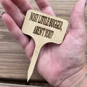 Wooden Plant Pick Nosy Little Bugger Aren't You Engraved Garden Stake for Plant Markers and Decor