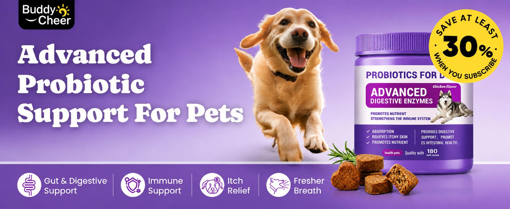 180ct Probiotics for Dogs – Probiotic and Prebiotic Soft Chews for Digestion, Gut Balance, Stool Quality & Immune Support, 4-Strain Blend with FOS, GOS & Organic Inulin, Chicken Flavor