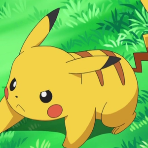 PikaCardLLC