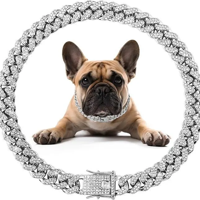 dog chains necklace pitbull - TikTok Shop