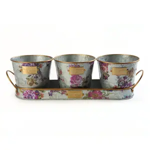 Mackenzie- Childs 4-Piece Galvanized Flower Tray&Pot