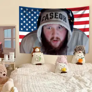 Caseohs American Flag Wall Tapestry Meme Tapestry Funny Home Decor Room Dorm Backdrop Cloth Room Decor Aesthetic Hanging Cloth