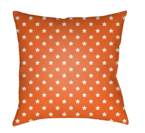 Livabliss LIL080-2020 Stars 20 x 20 x 4 in. Throw Pillow - Medium