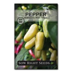 Mini White Habanero Pepper Seeds