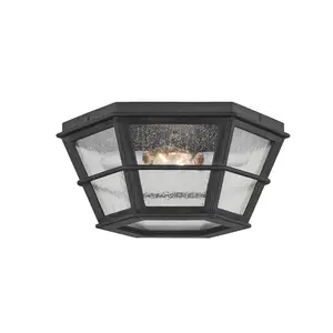 Lake County 2-Light Outdoor Ceiling Light in Matte Black with Seeded Glass for Rustic and Modern Spaces