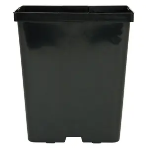 Deep Square Plastic Pot- 5.5 in