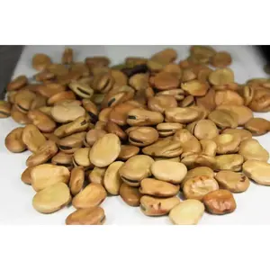 Broad beans Fava beans -  (Aquadulce ) asian vegetable, Crop Garden Seeds