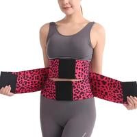 Hot Pink Leopard Print