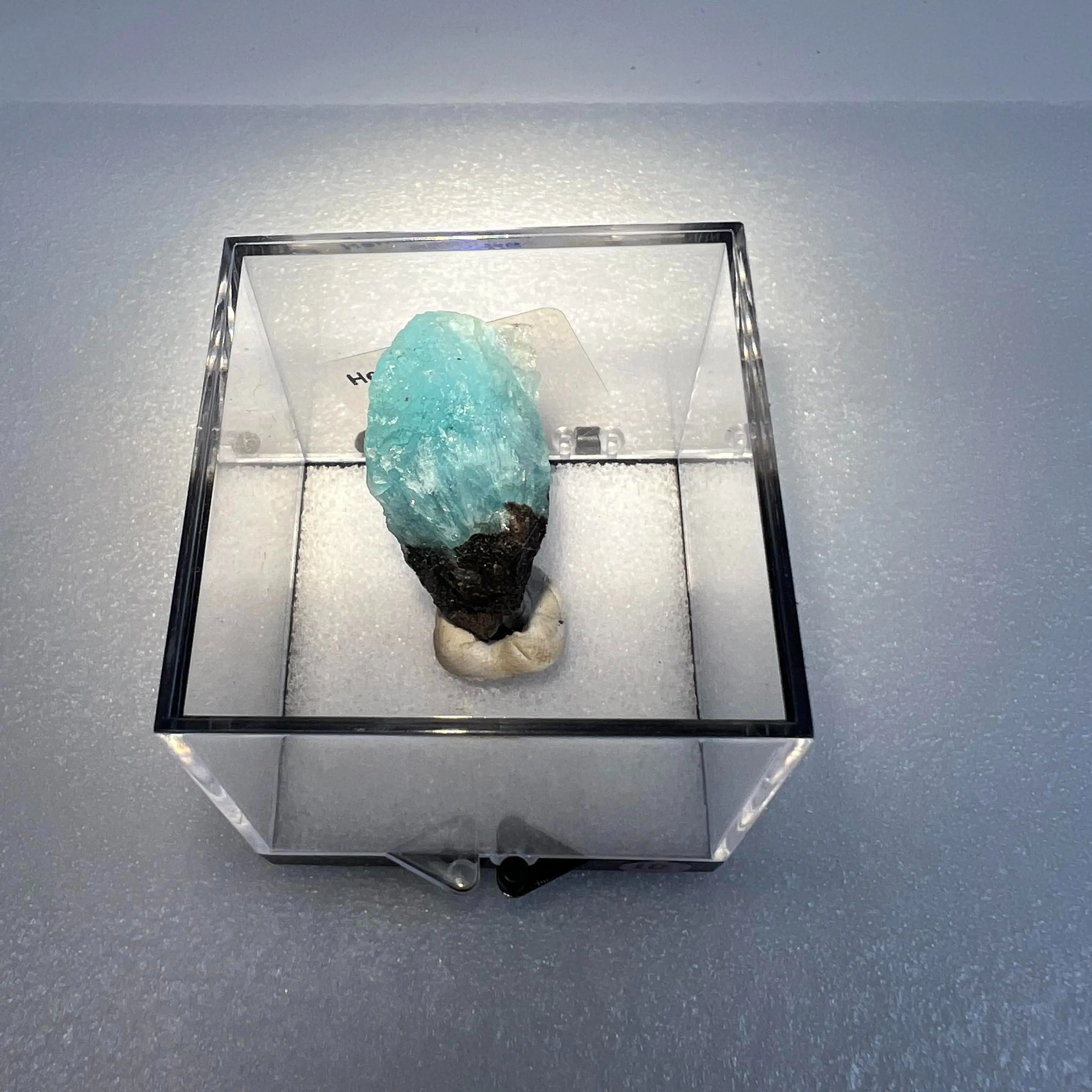 [Fleur de Cristal] Raw Blue Kyanite Specimen – Collector’s Edition