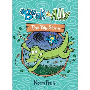 USED-Beak & Ally #3: The Big Storm: A Graphic Novel by Feuti, Norm (Paperback)
