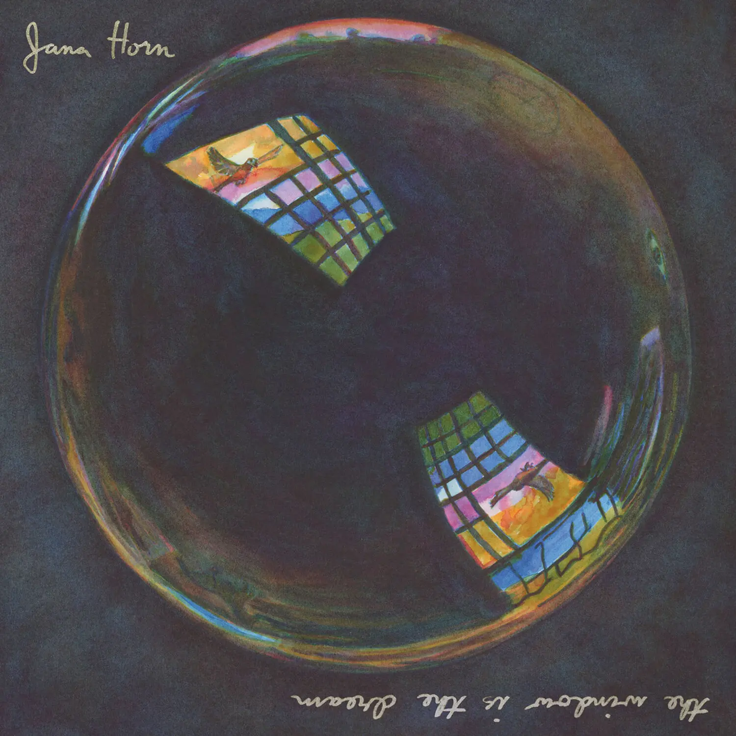 Jana Horn - The Window Is The Dream  [VINYL RECORD - LP]