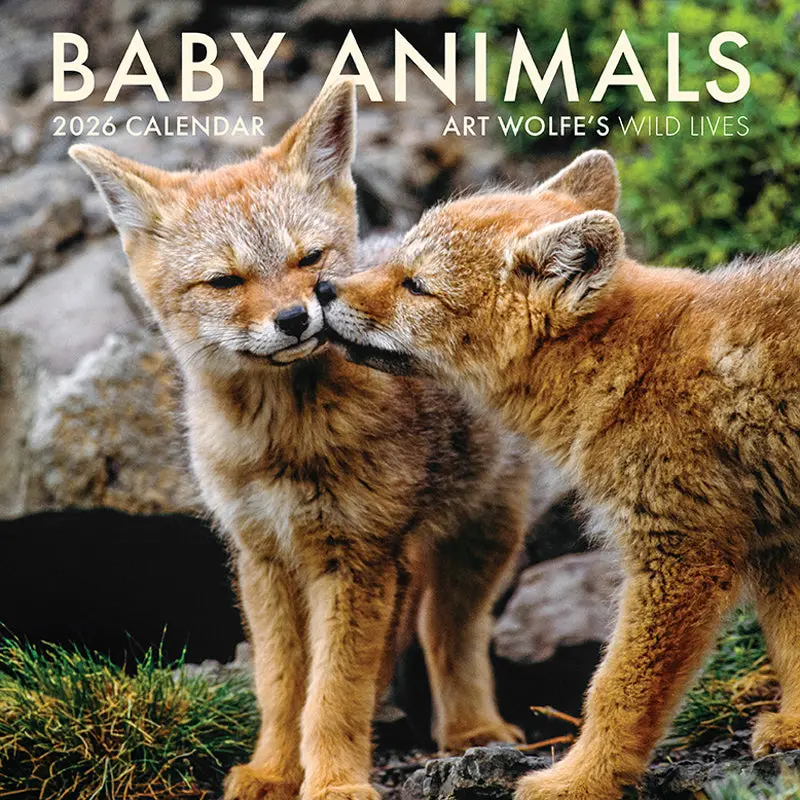 2026 Baby Animals Wall Calendar - Art Wolfe’s Photography, Adorable Inspiration for Animal Lovers, Celebrates Each Month’s Unique Highlights, Celebrates Baby Animals