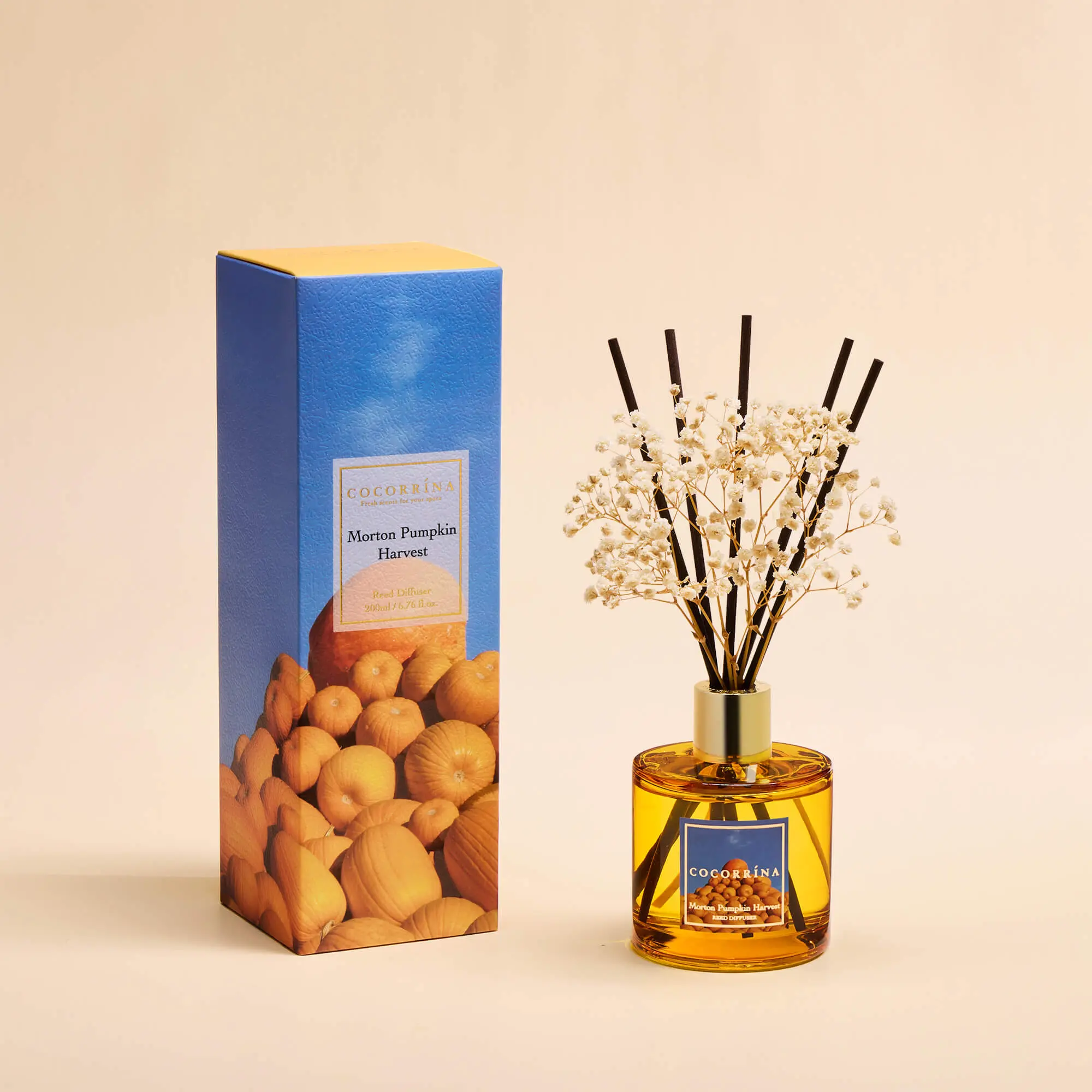 COCORRÍNA Morton Pumpkin Harvest Reed Diffuser Set - Home Fragrances Scent, Fruits & Oak Notes, Long-Lasting Home Freshener for Indoor Spaces