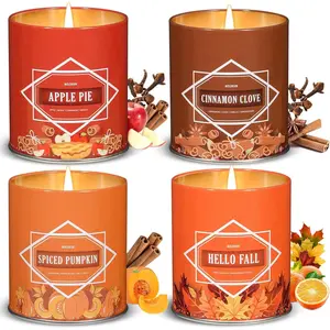 Valentine's Day Gifts for Men, Winter Scented Candle Set – 36oz (4*9oz) Soy Candles with Cozy & Warm Seasonal Scents of Pumpkin Spice/Cinnamon Clove/Pie/Hello Fall