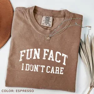 Comfort Colors Vintage Fun Fact I Don’t Care TShirt, Retro Sarcastic Graphic Tee, Funny Quote Casual Top, Unisex Everyday Wear