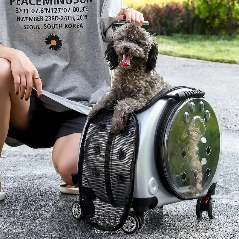 Portable Pet Luggage Case