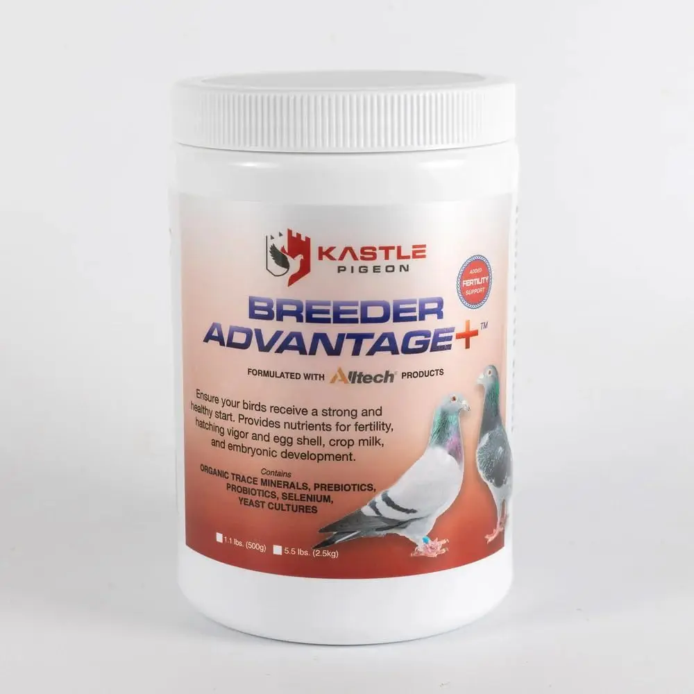 Breeder Advantage Plus Kastle for Pigeons 500g Dosage 4 Weeks Prior to Pairing Birds 1 Tablespoon per 1 Pound of Feed