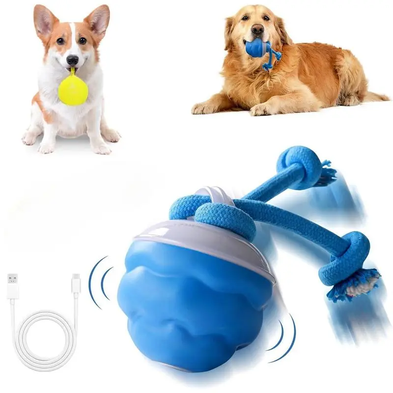 Interactive Dog Toys with Motion Activated, Squeaky Dog Toy Active Rolling Ball, Ball for Daily Training,Used for cats and dogs, pet accessories, cute pet toys(2.95*2.95*4.33inch)