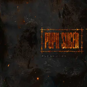 Pupil Slicer - Fleshwork  [COMPACT DISC - CD]
