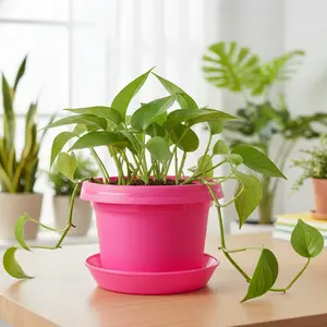 LAP 12 inch Pot with Saucer or Hanger