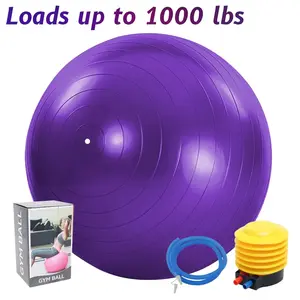 Gym-Grade Textured Fitness Exercise Ball - 75cm Anti-Burst Construction Ball with Quick Pump, for Balance Training, Pregnancy & Physical Therapy