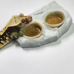 Double Cup Reptile Feeding Ledge