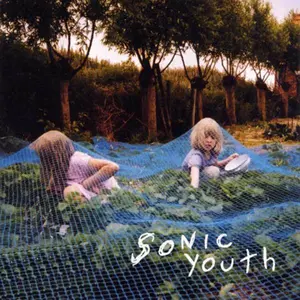 Sonic Youth - Murray Street  [VINYL RECORD - LP]
