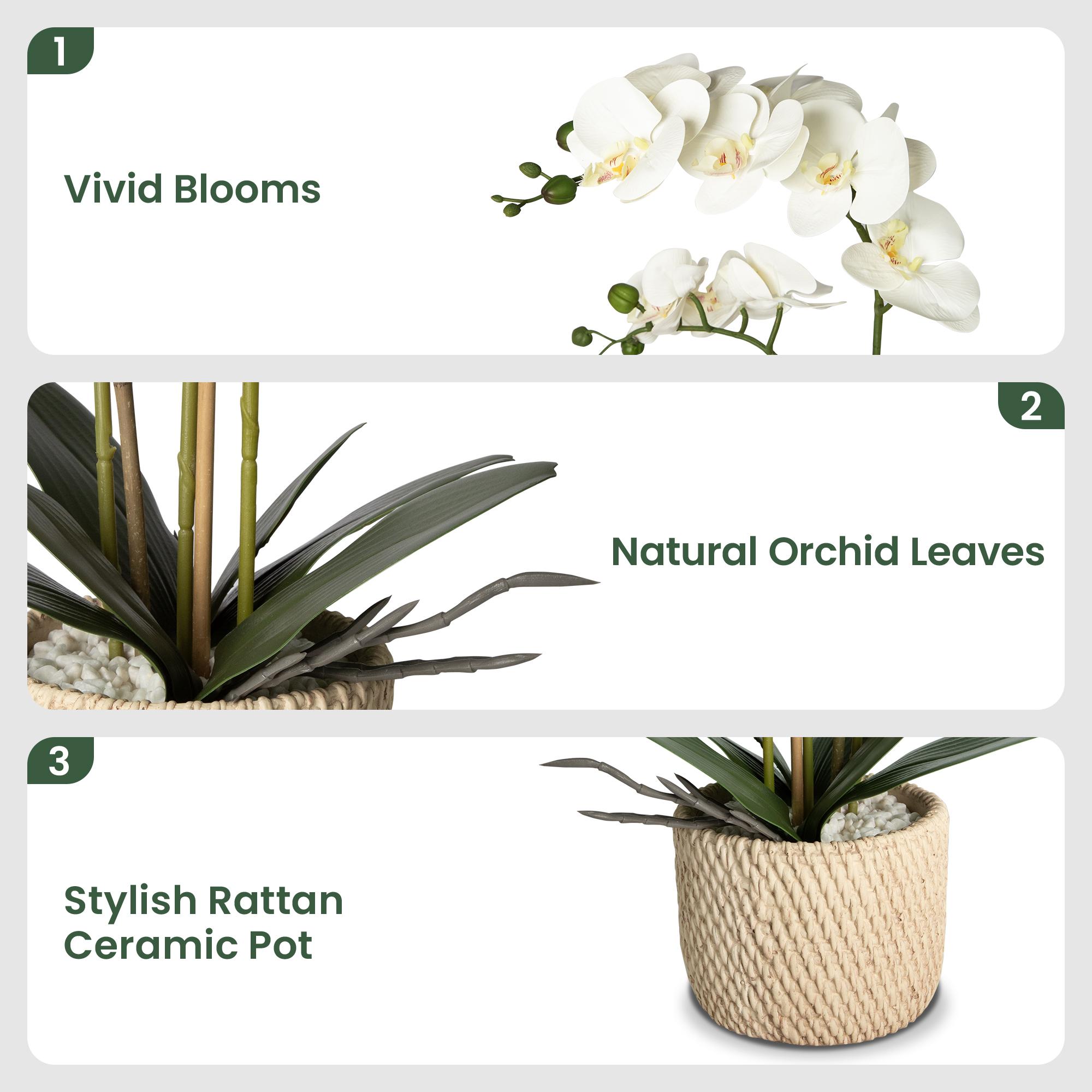 Porch decor.ennva ceramic potted artificial orchid flowers, white faux phalaenopsis for table decoration, realistic artificial flower ornaments suitable for home and office interior decoration Porch decor.ennva ceramic potted artificial orchid flowers, white faux phalaenopsis for table decoration, realistic artificial flower ornaments suitable for home and office interior decoration