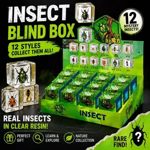 INSECT BLIND BOX
