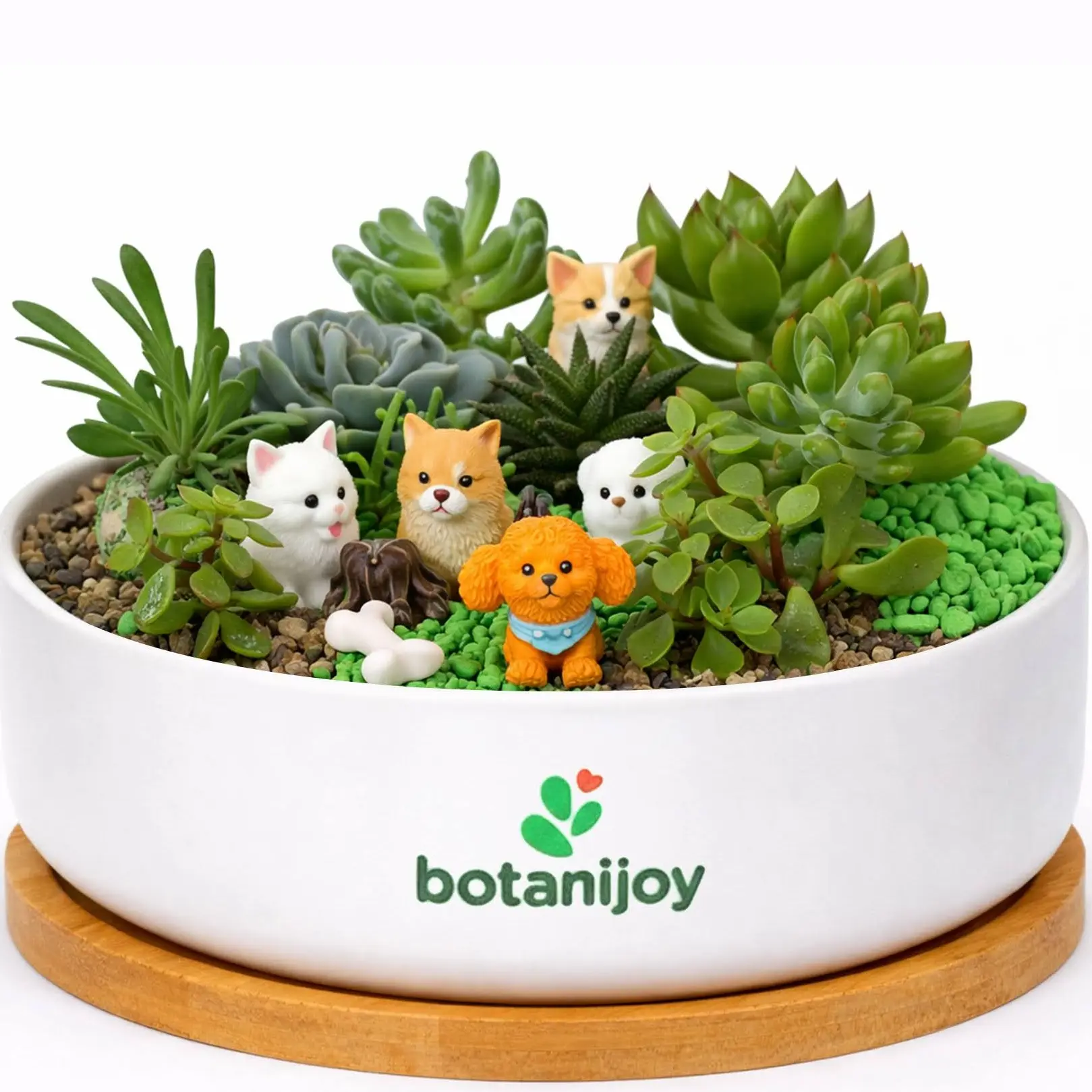 Botanijoy - Puppies' Playground Tales Live Plant Succulent Kit - Indoor Home Decor for Plant Lovers, Garden Supplies
