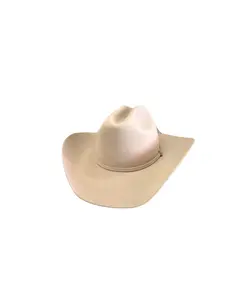 Silverbelly - Stetson, 6x Skyline Brim 4" Western Felt Cowboy Hat