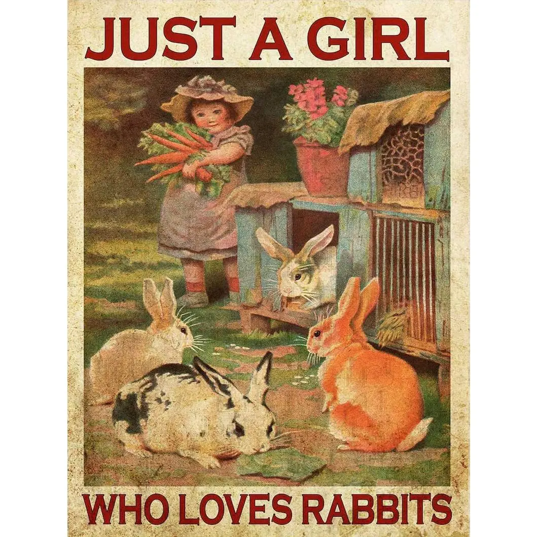 Rabbit Lover, Rabbit Poster – Just A Girl, Who Loves Rabbits Poster Home Decor Wall Décor