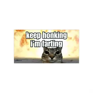 Keep Honking I'm Farting Car Magnet/ Funny Cat Meme, Magnetic, Cute Car Magnet
